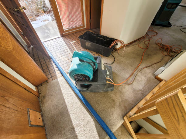 Best Ceiling water damage repair  in Leonia, NJ