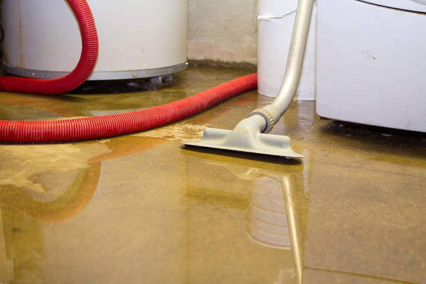 Best 24-hour water damage restoration  in Leonia, NJ